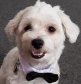 Sammy